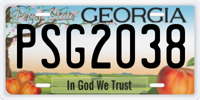 GA license plate PSG2038