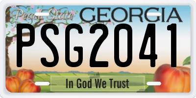 GA license plate PSG2041