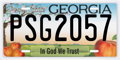 GA license plate PSG2057