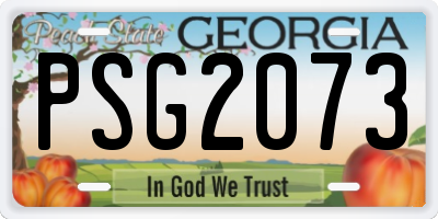 GA license plate PSG2073