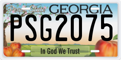GA license plate PSG2075
