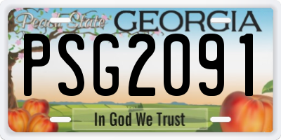 GA license plate PSG2091