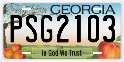 GA license plate PSG2103