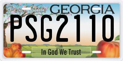 GA license plate PSG2110