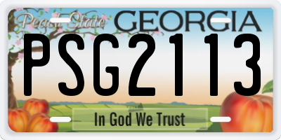 GA license plate PSG2113