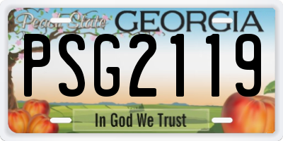GA license plate PSG2119