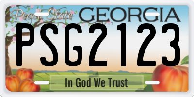 GA license plate PSG2123