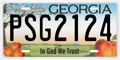 GA license plate PSG2124