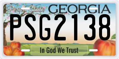 GA license plate PSG2138
