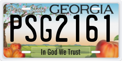 GA license plate PSG2161