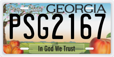 GA license plate PSG2167