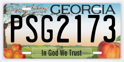 GA license plate PSG2173