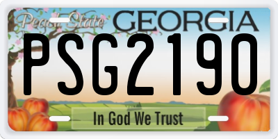 GA license plate PSG2190
