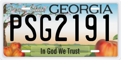GA license plate PSG2191