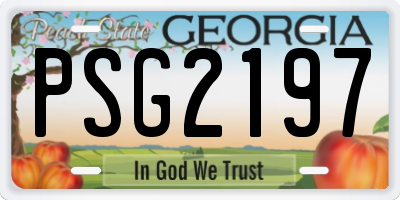 GA license plate PSG2197