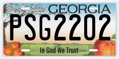GA license plate PSG2202