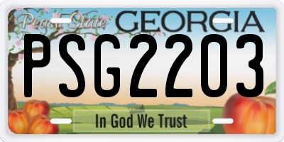 GA license plate PSG2203