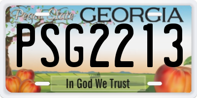 GA license plate PSG2213