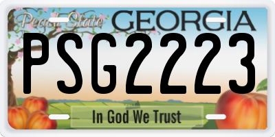 GA license plate PSG2223