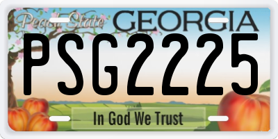 GA license plate PSG2225