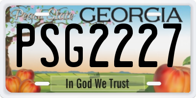 GA license plate PSG2227