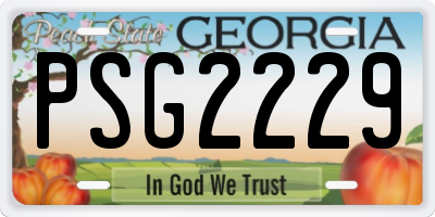 GA license plate PSG2229