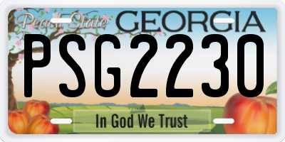 GA license plate PSG2230