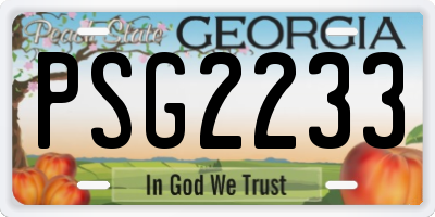 GA license plate PSG2233