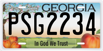GA license plate PSG2234