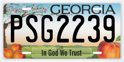 GA license plate PSG2239