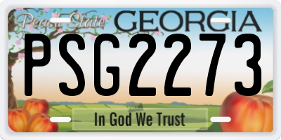 GA license plate PSG2273