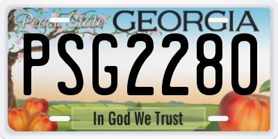 GA license plate PSG2280