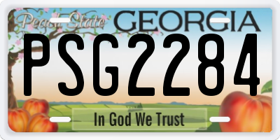 GA license plate PSG2284