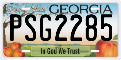 GA license plate PSG2285