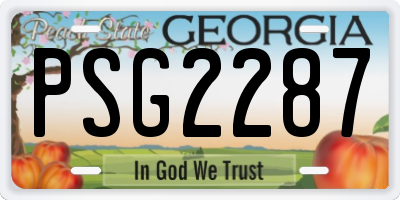GA license plate PSG2287