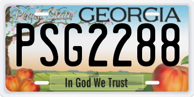 GA license plate PSG2288