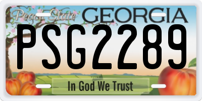 GA license plate PSG2289