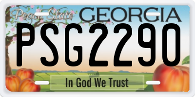 GA license plate PSG2290