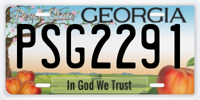 GA license plate PSG2291