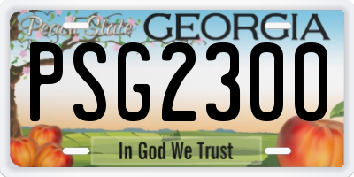 GA license plate PSG2300