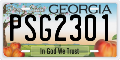 GA license plate PSG2301