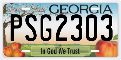 GA license plate PSG2303