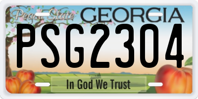 GA license plate PSG2304