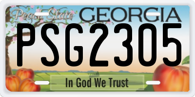 GA license plate PSG2305