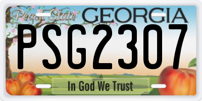 GA license plate PSG2307