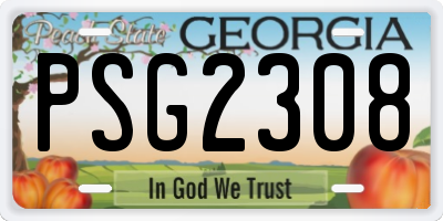 GA license plate PSG2308