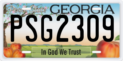 GA license plate PSG2309