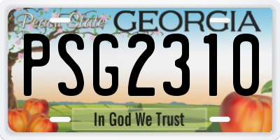 GA license plate PSG2310