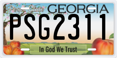 GA license plate PSG2311