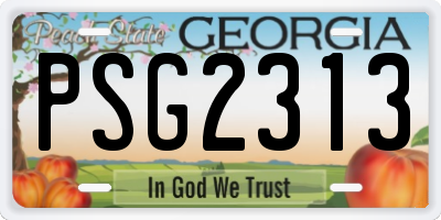 GA license plate PSG2313